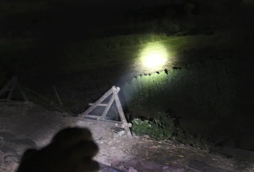 H315f606f33434ccf97001546c45d9ad5Z