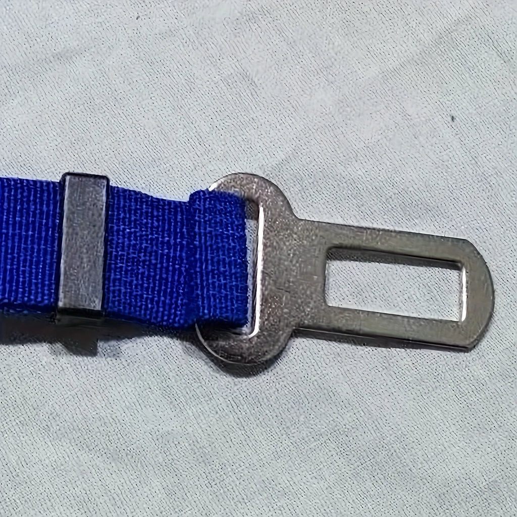 S4db84a4371bb43408ef914c668b0188dZ