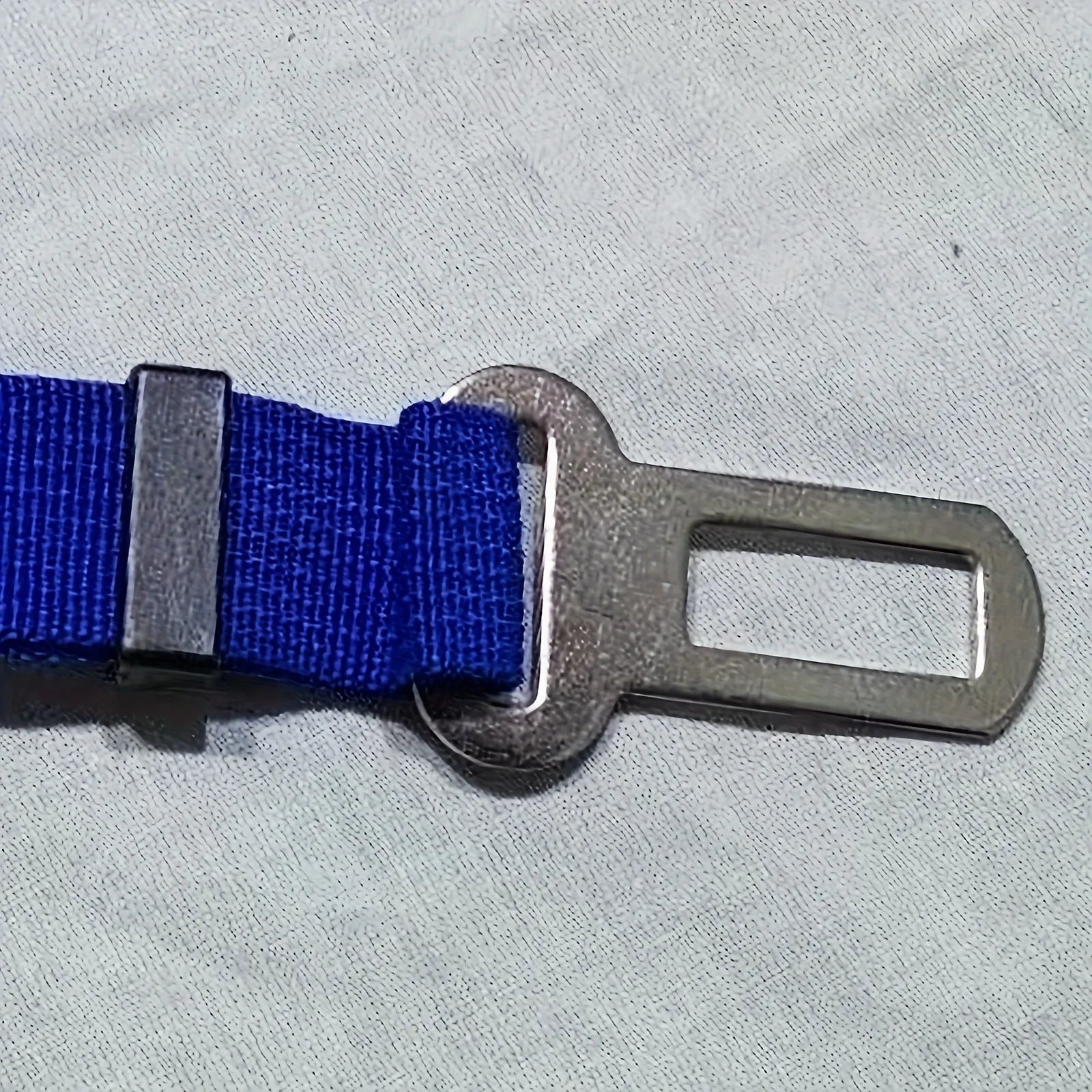 S4db84a4371bb43408ef914c668b0188dZ